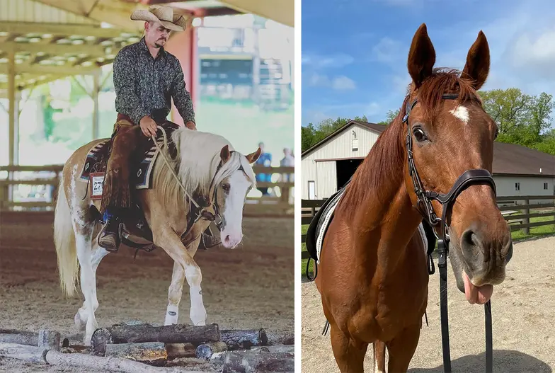 man in cowboy hat riding a light colored horse and a second screen of a brown horse solo
