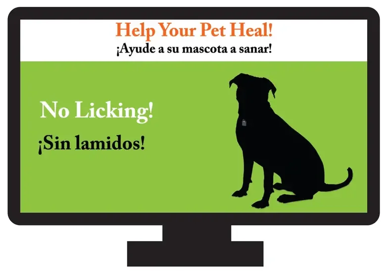 Silhouette of a dog with 