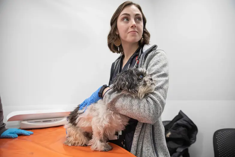 staff holds small scruffy dog in medical setting