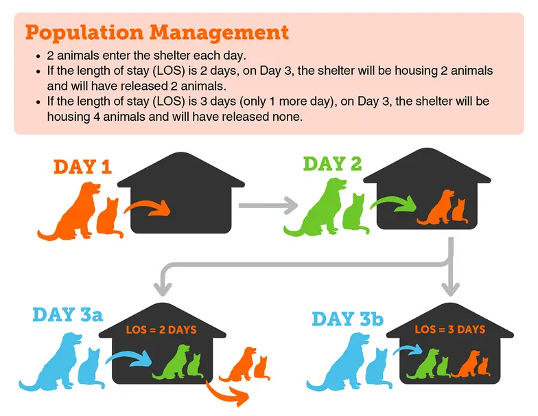 capacity for care colorful graphic