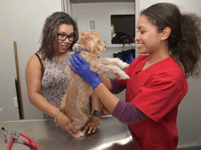 a veterinary professional holds a small tan scruffy dog while his owner looks on smiling