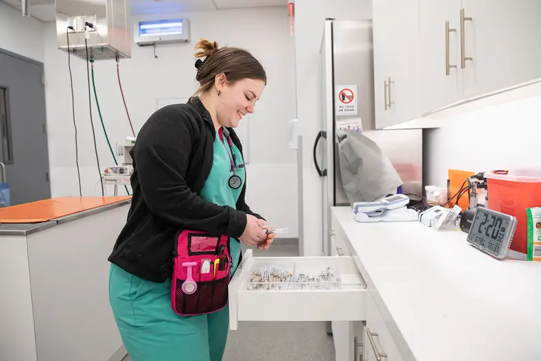 veterinary staff places a clean syringe in the storage drawer