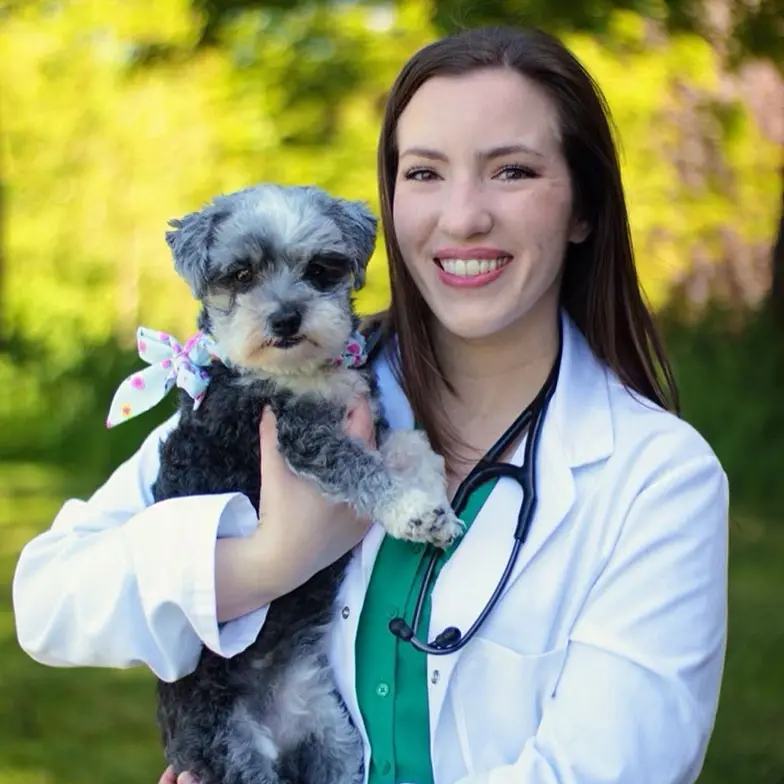 dr abby reichard wearing a white lab coat and stethoscope and holding a small gray and black scruffy dog