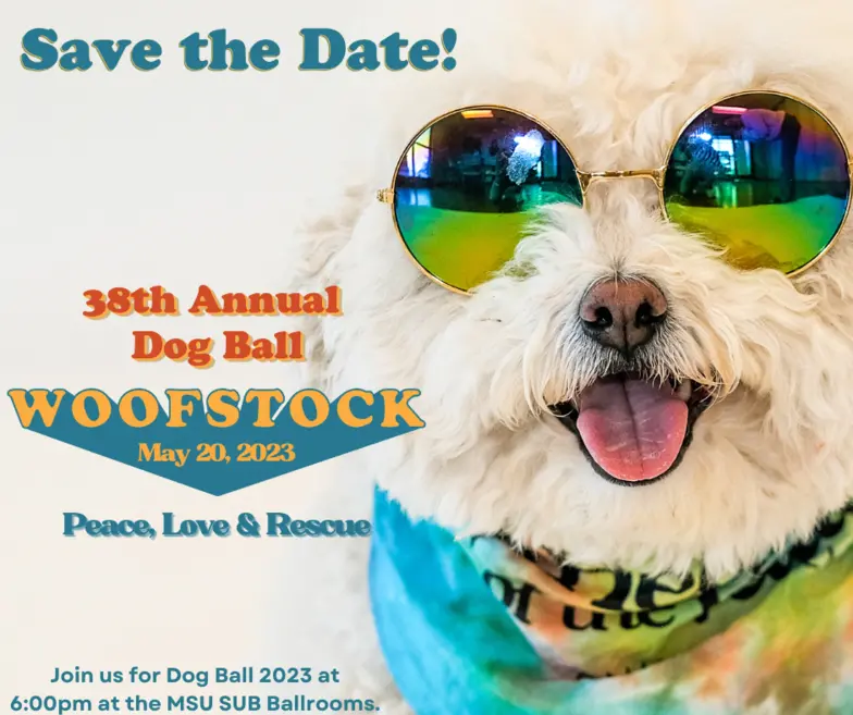 a small fluffy white dog wearing sunglasses next to copy promoting a fundraising event called the Dog Ball