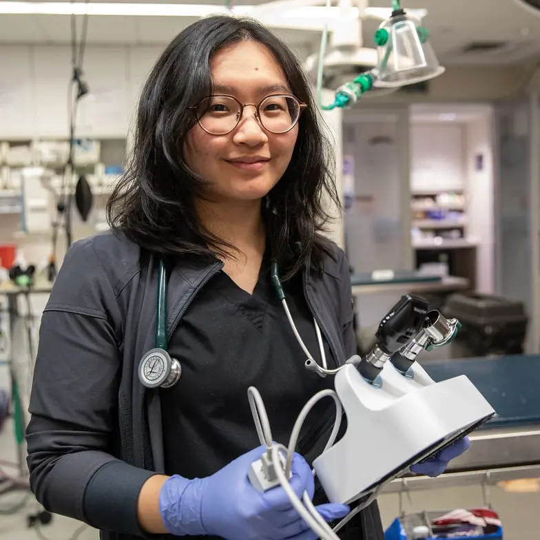 a veterinarian in a clinic carries ear and eye exam tools while wearing purple gloves
