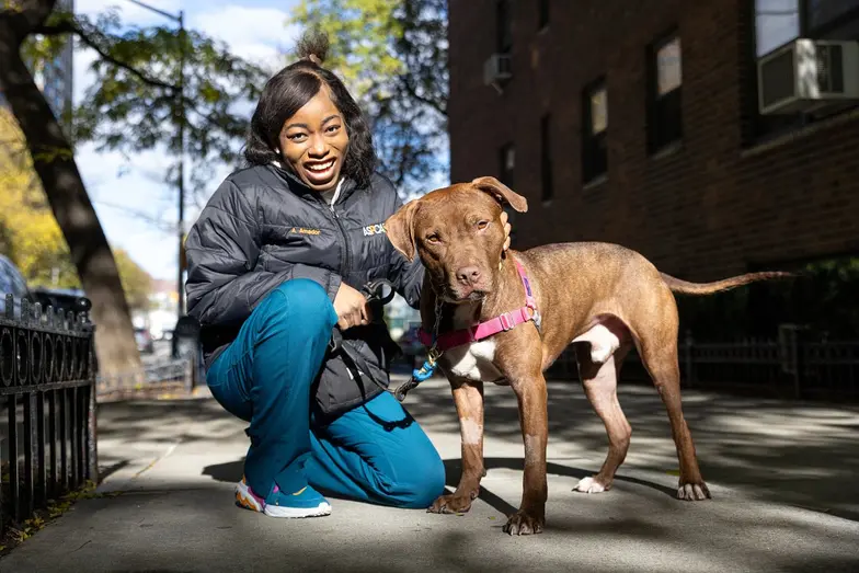 staff of aspca outdoors on city sidewalk smiling crouched beside brown dog