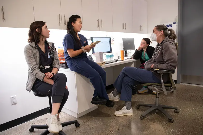 Four veterinary staff members sit in a lab having a meeting in front of a desktop computer