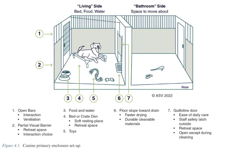 drawing of a primary canine enclosure including a "living" side and "bathroom" side