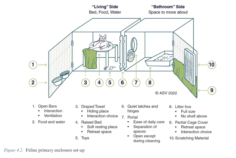drawing of a primary feline enclosure including a "living" side and a "bathroom" side