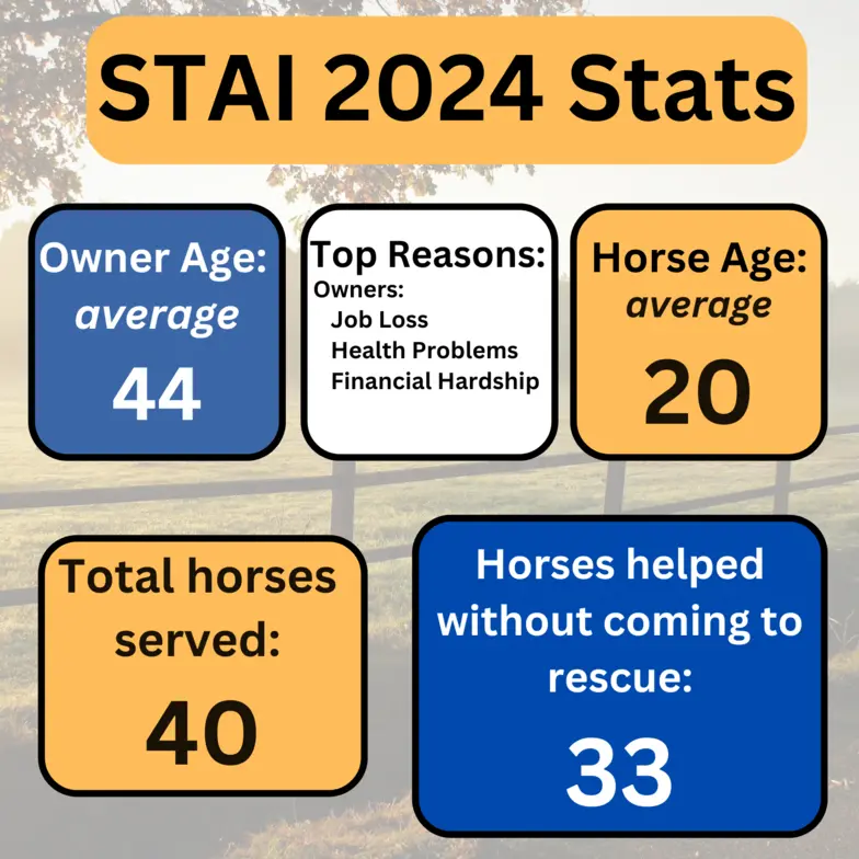 STAI 2024 Stats - Owner Age average: 44, Top Reasons: Job loss, Health Problems, Financial Hardship, Horse Age: average 20, Total horses served: 40, Horses helped without coming to rescue: 33