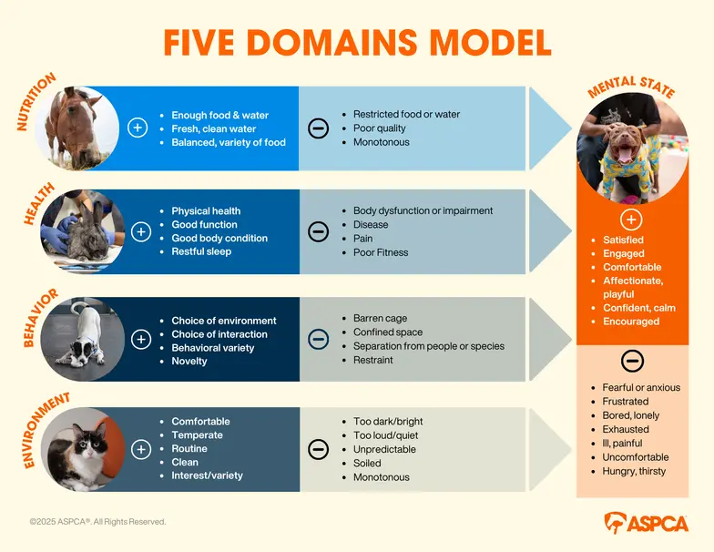 Five Domains Model