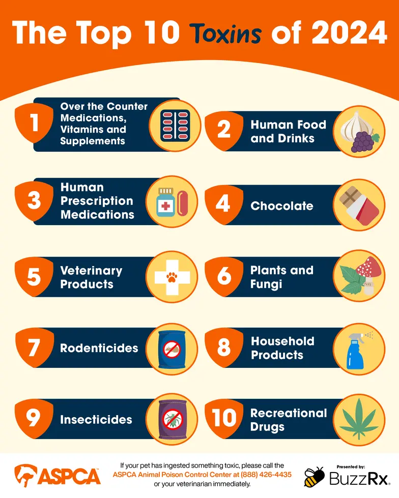 image of top 10 toxins of 2024
