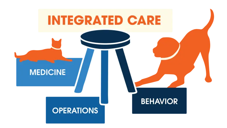Integrated Care graphic