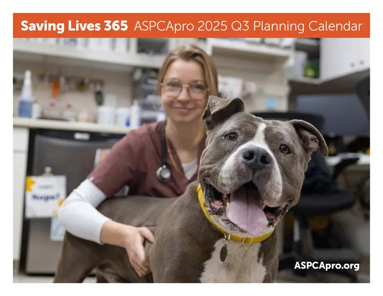 Cover Q3 2025 Shelter Planning Calendar