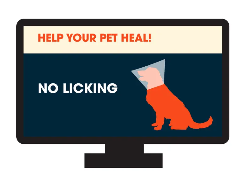 silhouette of a dog with an elizabethan collar