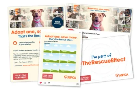 rescue effect group of downloads