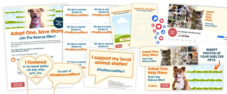 graphic shows what is inside the shelter toolkit