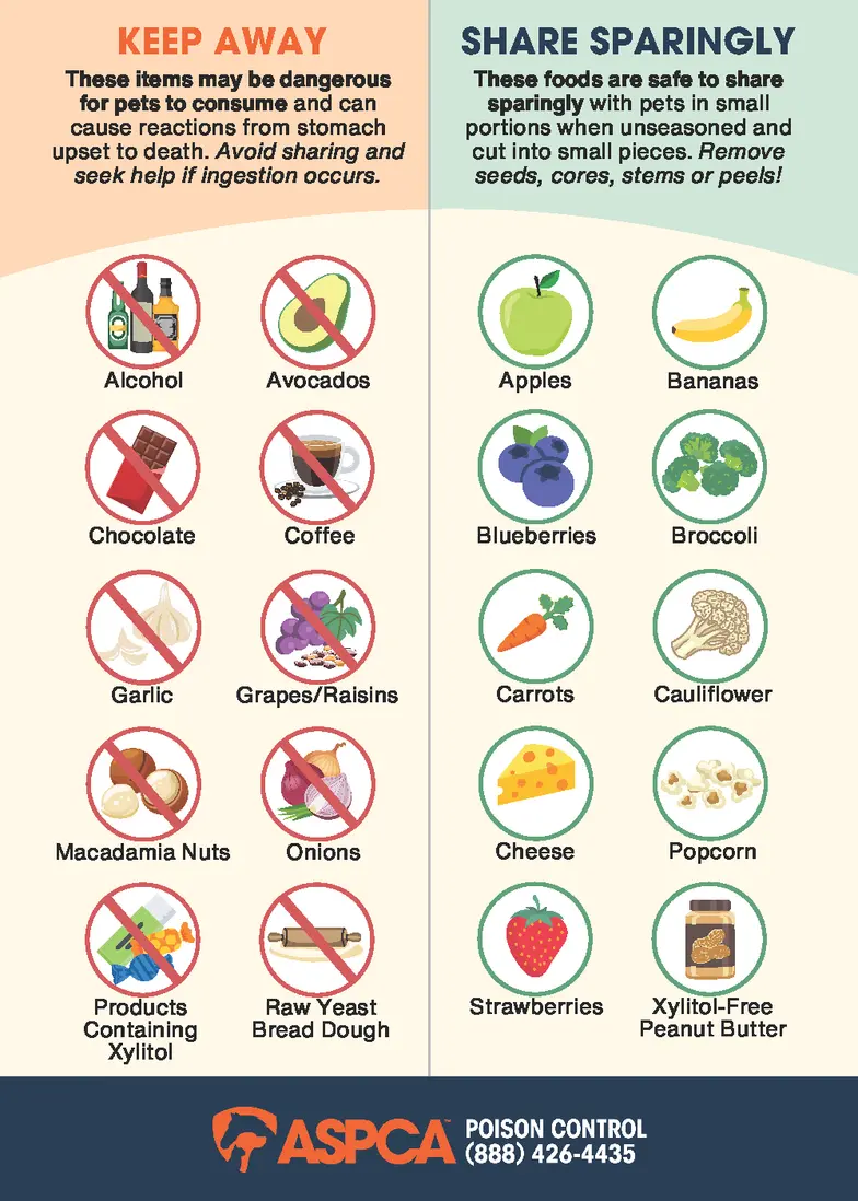 ASPCA APC Food Magnet