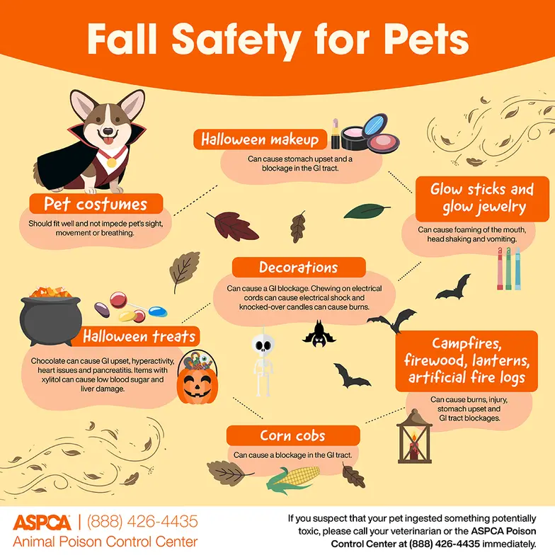 APC Fall Safety
