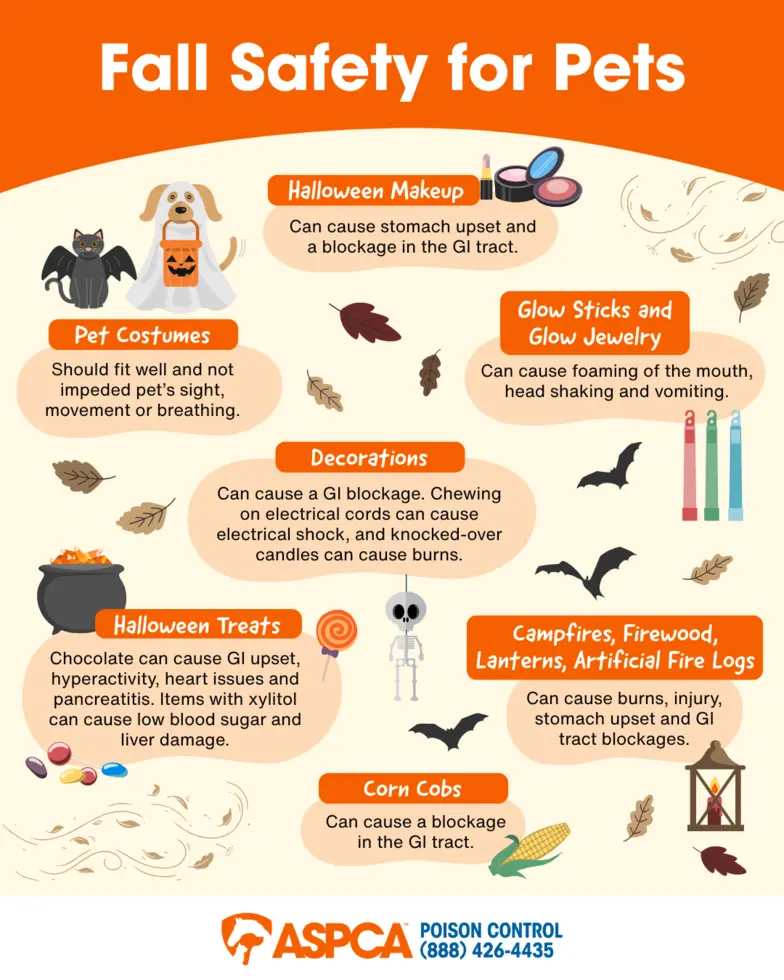 ASPCA Poison Control Fall Safety