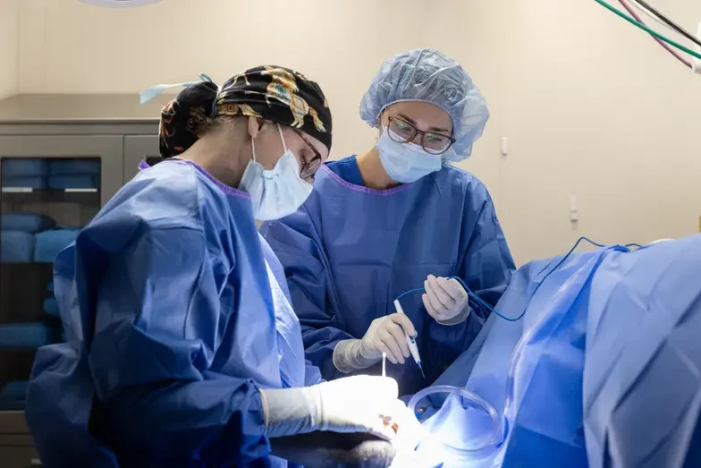 Two people in scrubs performing surgery