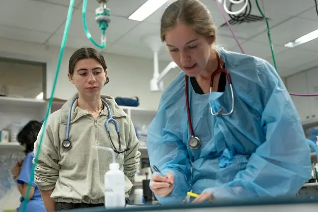 Intern watching a doctor in scrubs