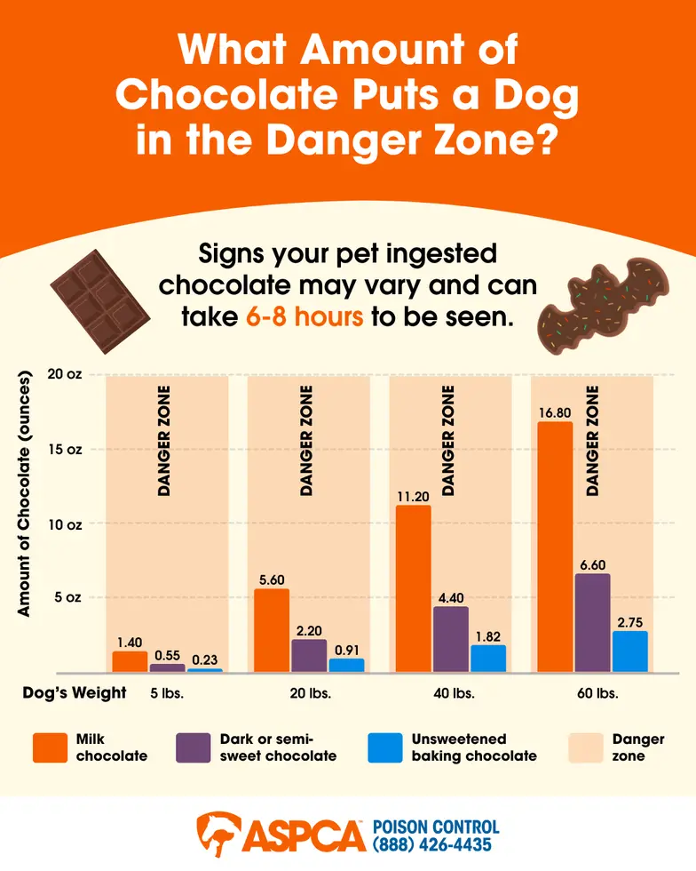 Chocolate infographic APC 2025