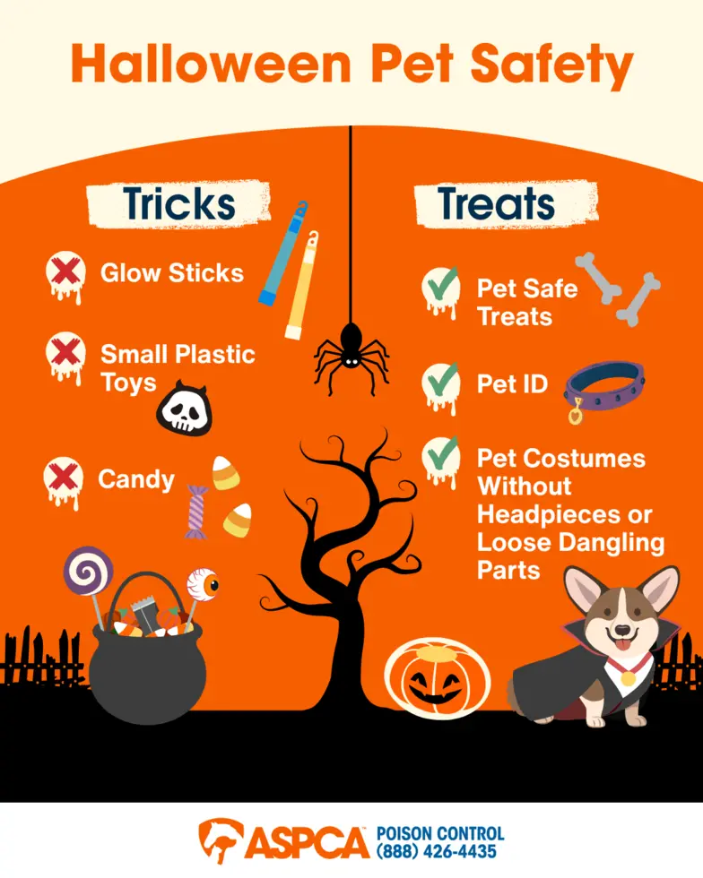 Halloween Pet Safety APC 2025