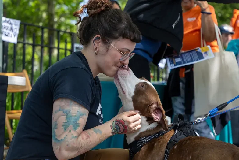 Woman in a black shirt kneeled down embracing a brown and white dog