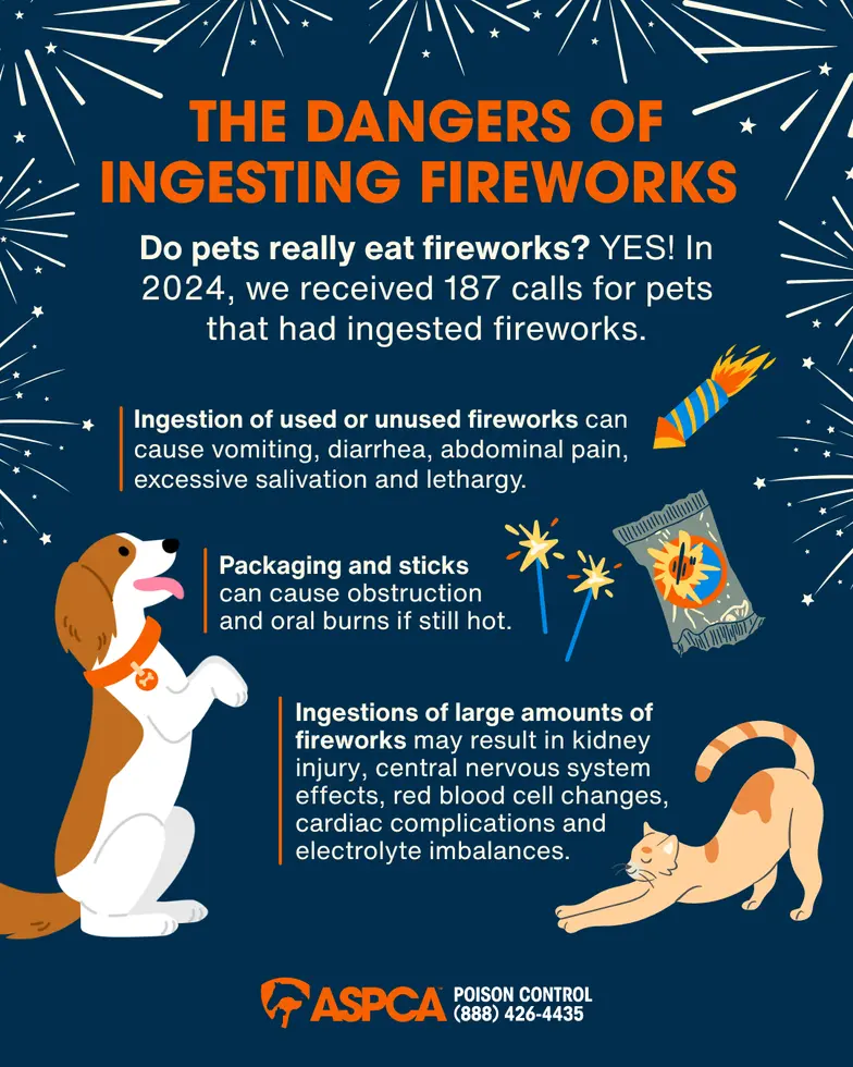 firework safety poster