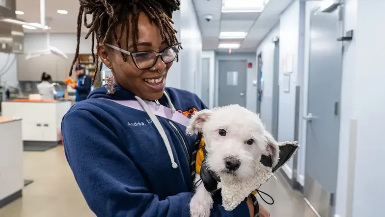 an aspca veterinary technician holds a small white dog