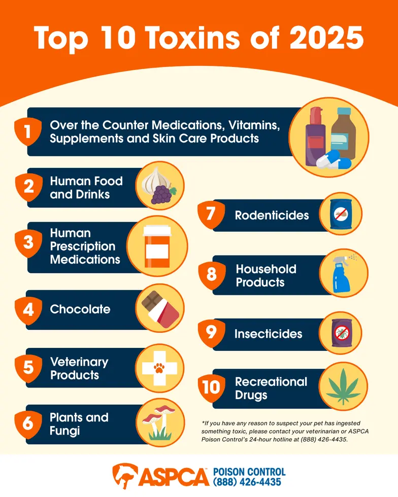 graphic that shows the top 10 pet toxins of 2025