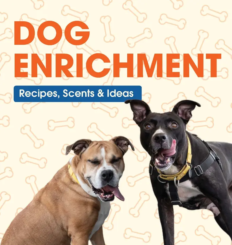Dog Enrichment Recipes