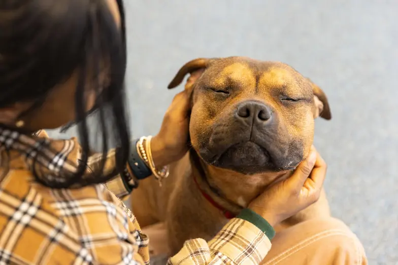 Woman holding brown dog 