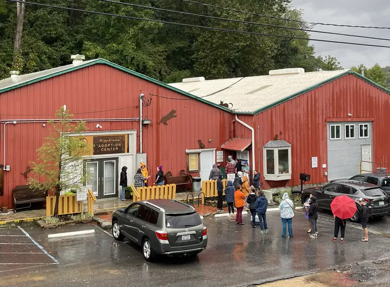 Prospective foster volunteers lined up outside Brother Wolf the day before the storm