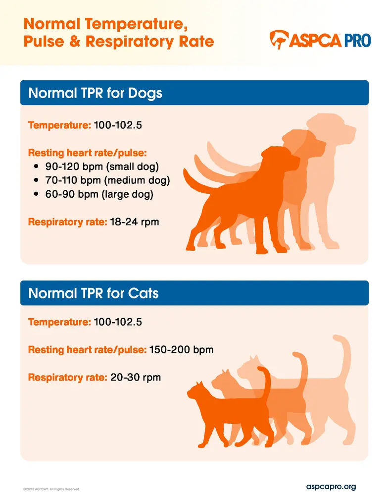 Normal Dog & Cat TPR