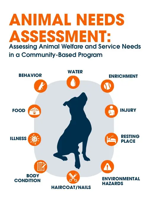 Animal Needs Assessment