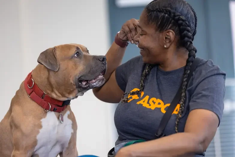 dog and staff handler