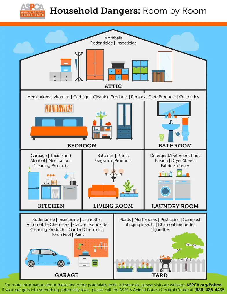 household toxins infographic