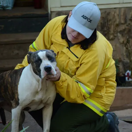 rescuer in yellow safety gear holds gray and white dog