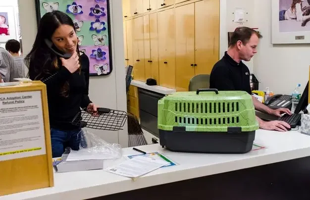 man and woman at front desk with cat carrier