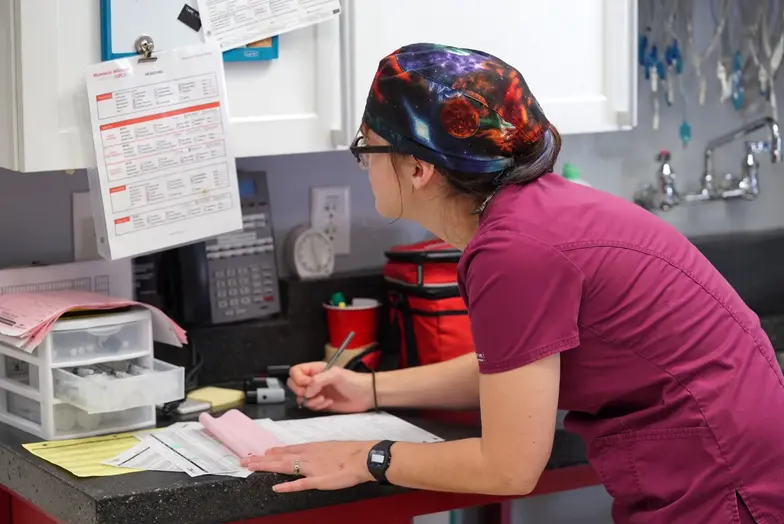 vet tech fills out paperwork