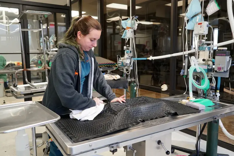 female staff inside clinic wiping down equipment