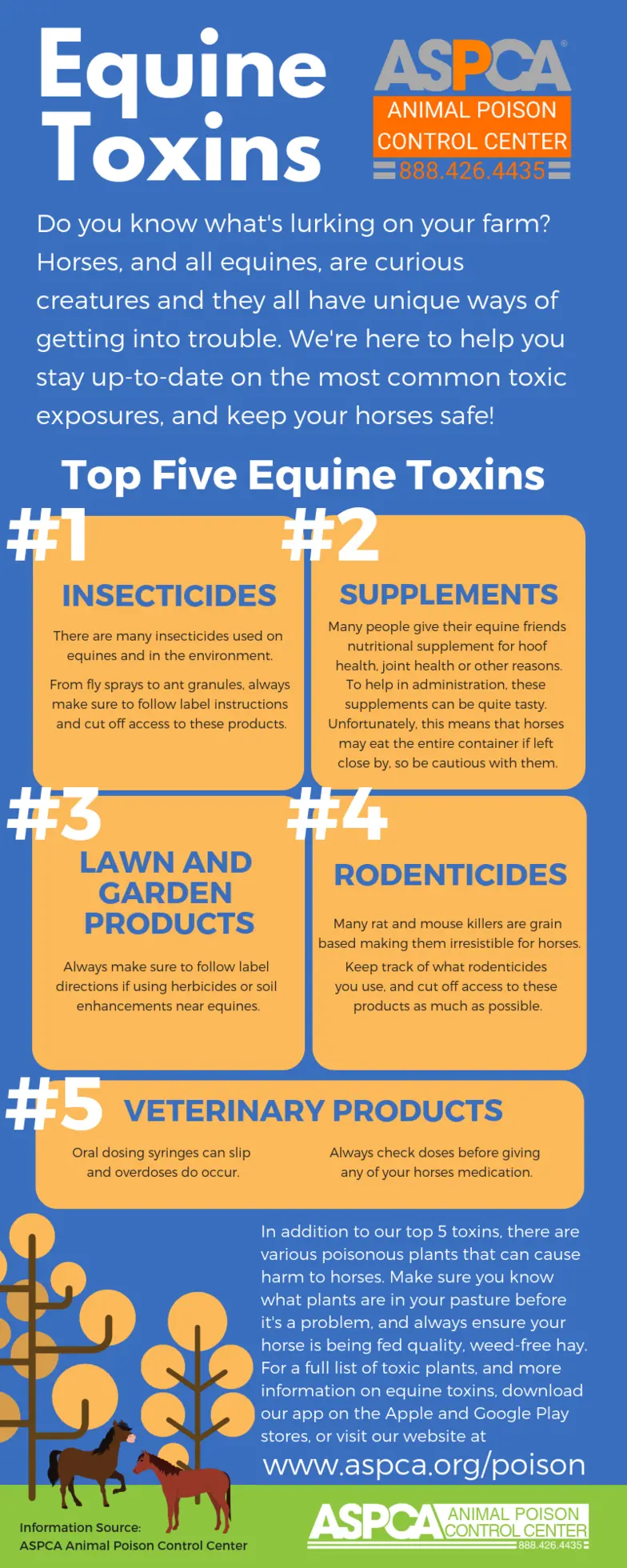 blue and yellow infographic of equine top toxins for 2018