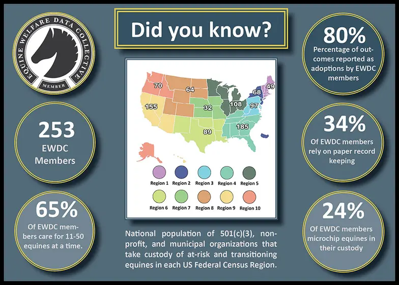colorful infographic with membership statistics and US map from EWDC