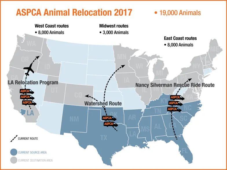 Aspca shelter deals locations