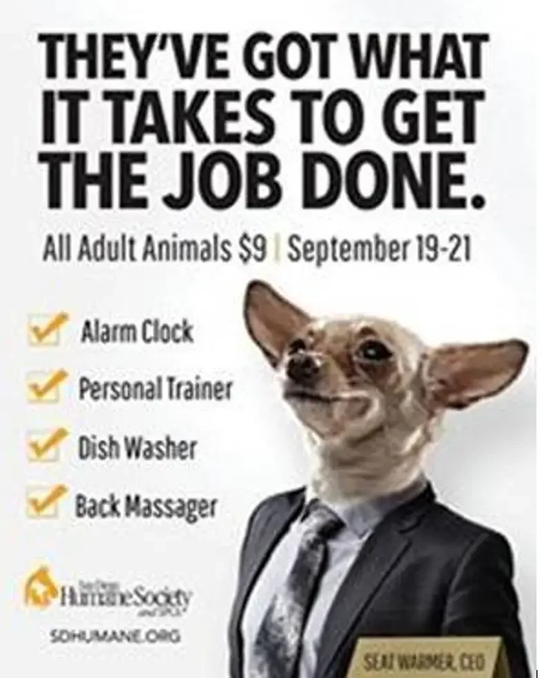 adopt animals meme