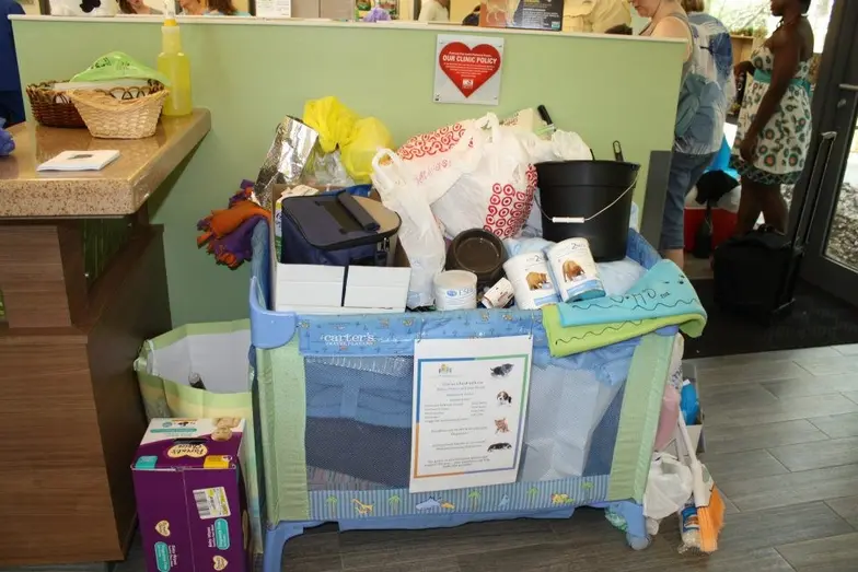 How To Throw A Shelter Kitten Shower | Aspcapro