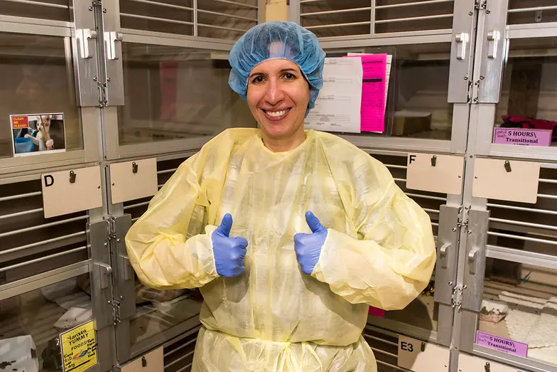 animal medical staff wearing yellow protective gear