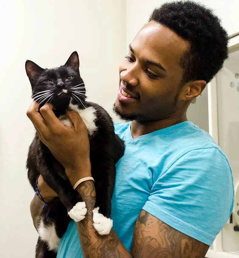man in blue tee holding black and white cat
